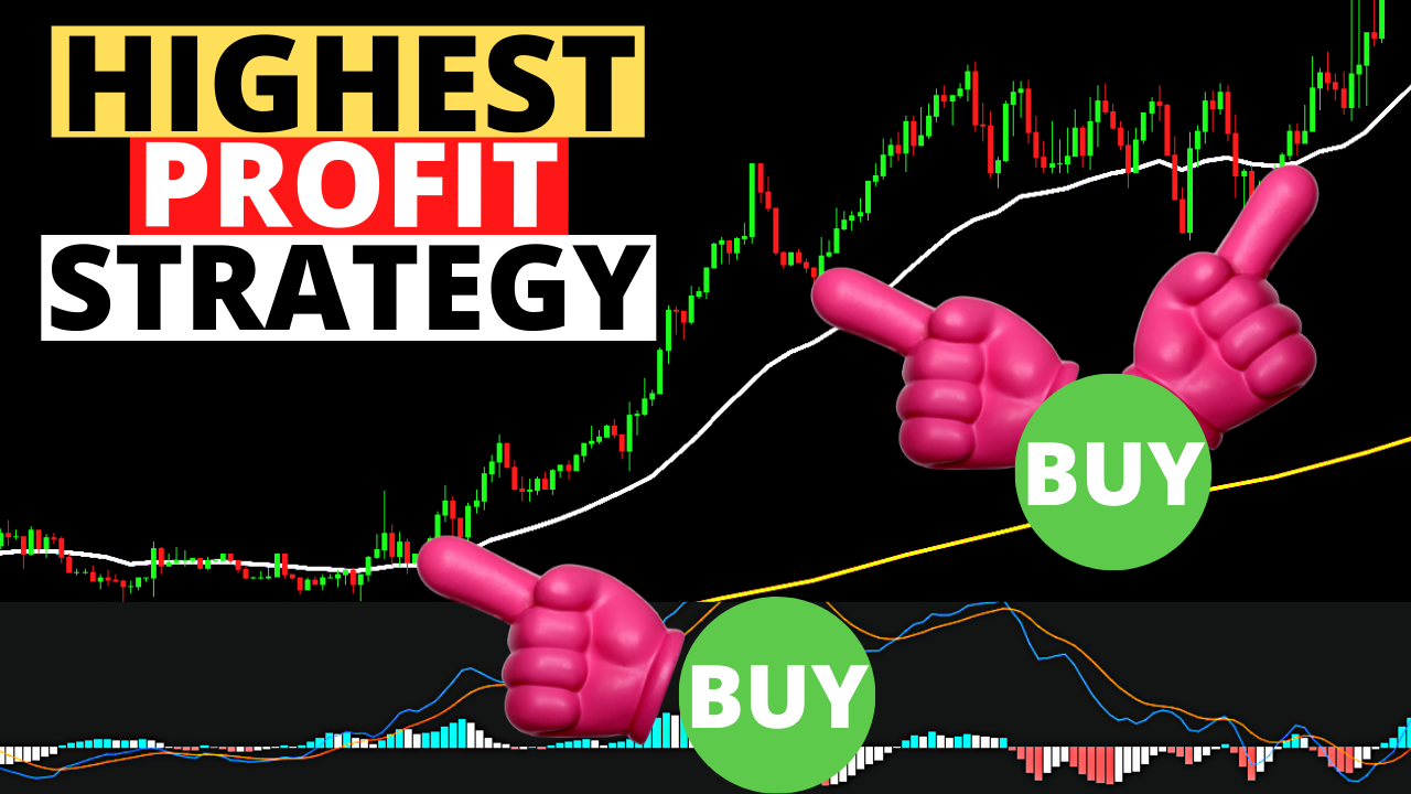 Highest Profit Strategy