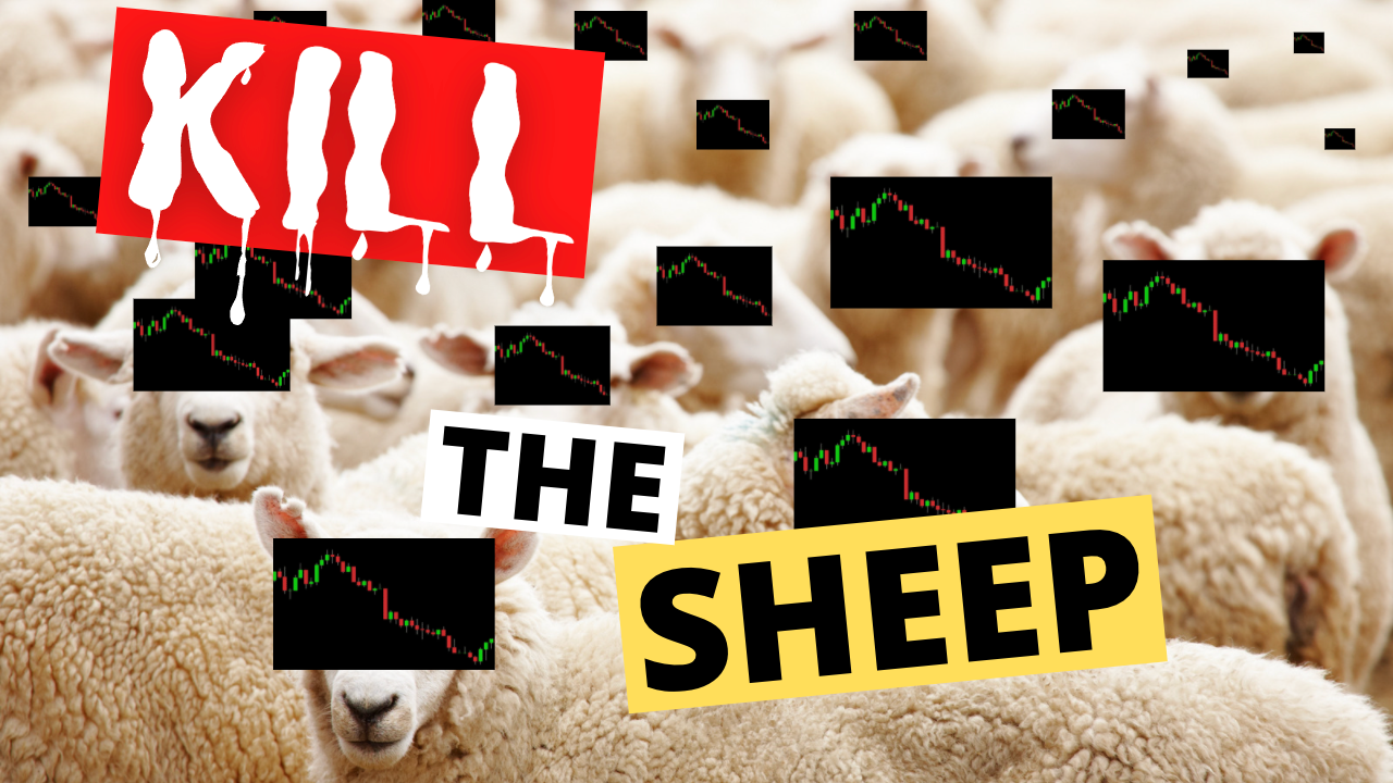 Kill The Sheep
